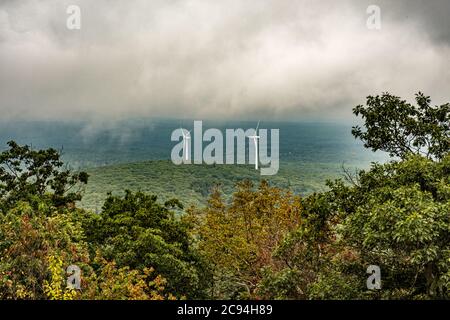 Ein sehr nebliger Tag auf dem Mount Wachusett in Princeton, Massachusetts Stockfoto