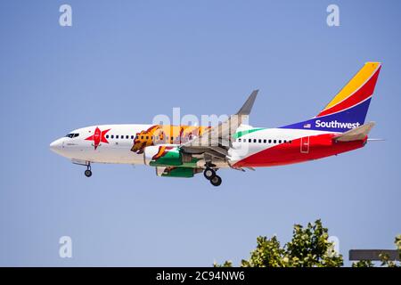 22. Juli 2020 San Jose / CA / USA - California One Southwest Airlines landet am San Jose International Airport (SJC); California One Lackierung ist honori Stockfoto