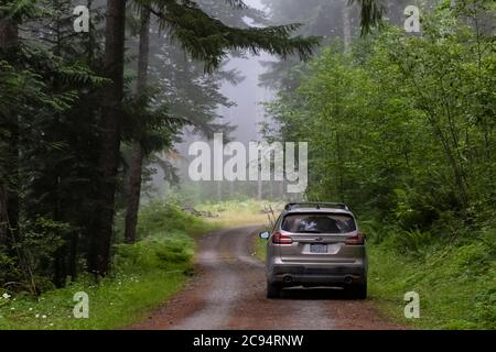 Eine Forststraße, die Holzfällern Zugang zu Gifford Pinchot National Forest, Washington State, USA ermöglicht Stockfoto