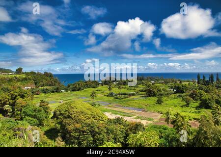 Wunderschöne tropische Aussicht entlang der Straße nach hana auf Maui. Stockfoto