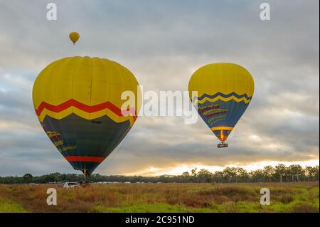 Als die Sonne aufgeht, beginnen drei bunte Luftballons mit Touristenkörben ihren Abenteuerflug über Mareeba in Queensland, Australien. Stockfoto