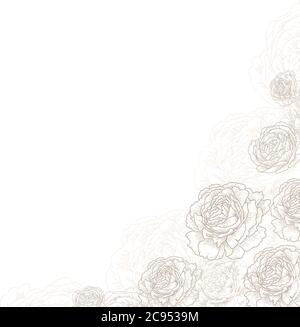 Blumen quadratische Ecke Hintergrund. Elegante Blumen, Rosen, Pfingstrosen Vektor. Dekorative Hochzeitskarte Rahmenvorlage. Grafische Illustration Stock Vektor