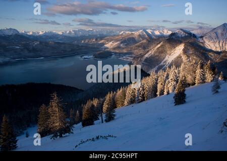 Geographie / Reisen, Deutschland, Bayern, Bayerische Alpen, Winterwald auf dem Jochberg (Gipfel) mit Walchen, Zusatz-Rechteklärung-Info-nicht-verfügbar Stockfoto