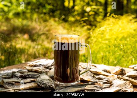 Ein Glas kaltes, frisches, dunkles Bier. Bier im Garten und Sommertag. Bierkrug und getrockneter Fisch auf einem offenen Naturhintergrund. Oktoberfest Stockfoto