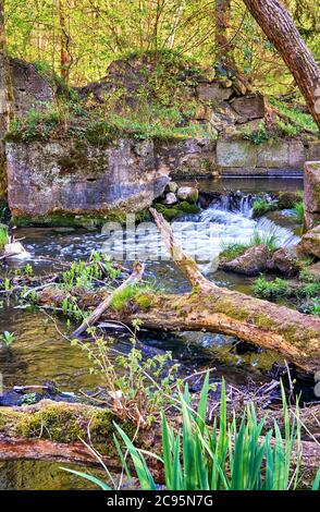 Baumstamm mit Moos und Pflanzen im Fluss am kleinen Wasserfall. Stockfoto