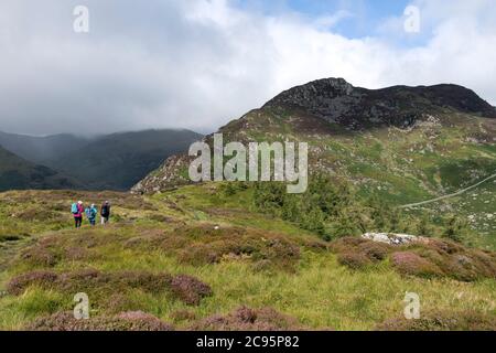 Wanderer, die von Glenridding Dodd, Lake District, Cumbria, Großbritannien, Richtung Heron Pike und Sheffield Pike fahren Stockfoto