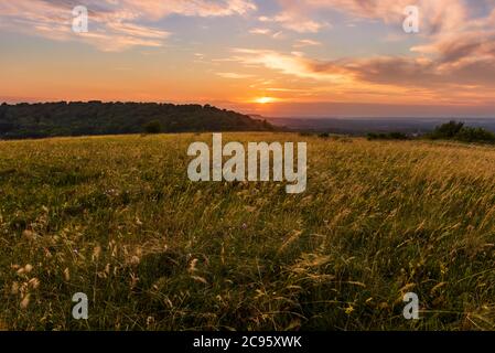 Sonnenuntergang über Beacon Hill auf den North Wessex Downs Südostengland im Juli an der Grenze von Hampshire und Berkshire Stockfoto