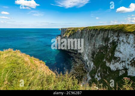 Herrliches Wetter am Bempton Cliffs RSPB in Yorkshire Stockfoto