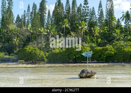 anmelden tropischer Wald mit Hinweis auf natürlichen Pool von oro Bucht, Isle of Pines, Neukaledonien Stockfoto