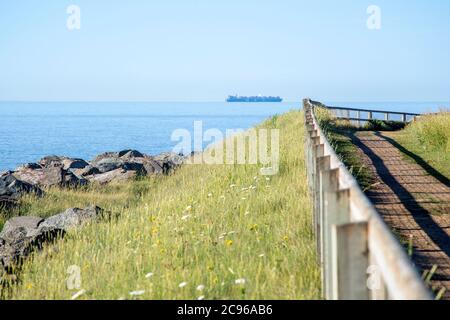 MSC-Containerschiff in der Nordsee in Richtung Port of Felixstowe, aus Bawdsey, Suffolk, England, Großbritannien Stockfoto