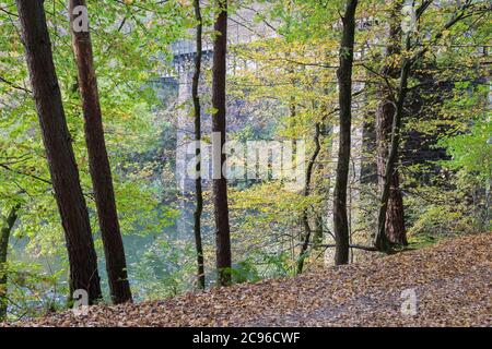 Deutscher Wald bei Remscheid Stockfoto