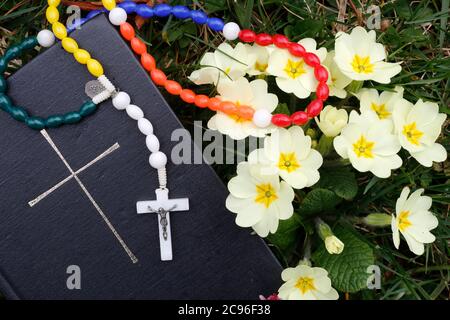 Bibel auf dem Gras mit Primeln im Frühling. Frankreich. Stockfoto