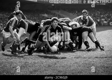 Neath RFC Scrum Half Chris Bridges geht unter dem Druck von Llanelli RFC-Gegenspieler Jonathan Griffiths von der Basis des Scrum, während Gary Jones von Llanelli RFC schaut. WRU Schweppes Cup Finale im Cardiff Arms Park, Cardiff am 6. Mai 1989. Stockfoto