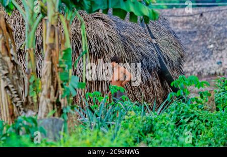 INDIOS YANOMAMI, IRONAVI STAMM, KANUFAHREN AUF BRAZO CASIQUIAIRE, AMAZONAS, VENEZUELA Stockfoto