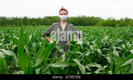 Eine Bäuerin steht auf einem Maisfeld mit Schutzmaske und Handschuhen. Stockfoto