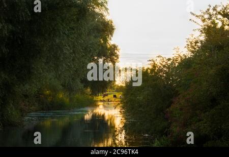 River Cam, Cambridgeshire Landschaften, Sonnenaufgang über dem Fluss, Sommer 2020 Stockfoto