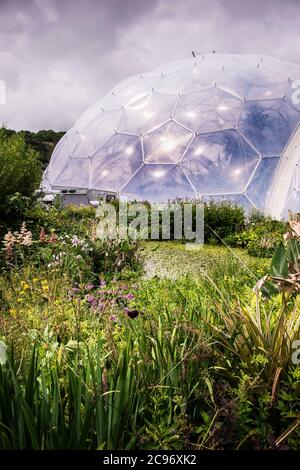 Das Eden Project in Cornwall. Stockfoto