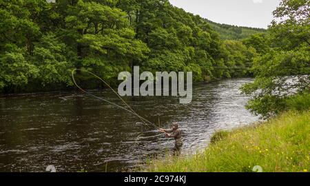 Ein Fischer spey Gießen für Lachs mit einer Fliegenrute auf dem Fluss Orchy, Argyll, Schottland Stockfoto