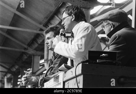 Carmarthen Mart (alter Standort) Rinder- und Milchquote Auktion 1992 Stockfoto