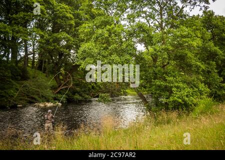 Ein Fischer spey Gießen für Lachs mit einer Fliegenrute auf dem Fluss Minnoch, Newton Stewart, Galloway, Schottland Stockfoto