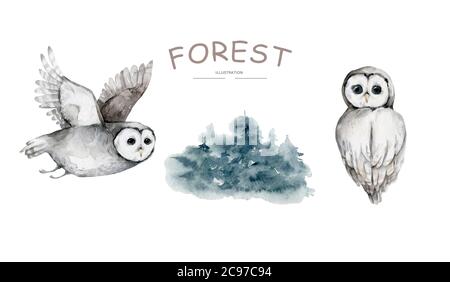 Realistisches handgezeichnetes Aquarell der Eule, Illustration auf weißem Hintergrund Stockfoto