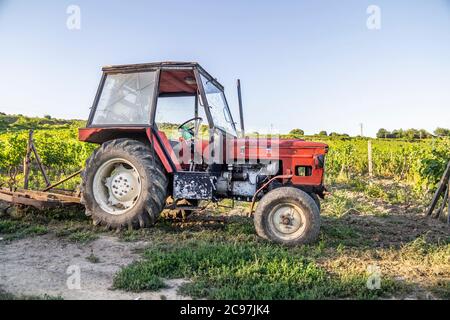 Traktor in Weinbergen am Sommertag mit blauem Himmel Stockfoto