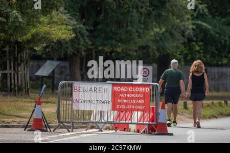 Richmond Park London, Großbritannien. 29. Juli 2020. Schönes Wetter im Richmond Park mit Hirschen, Spaziergängern, Joggern, Reitern und Radfahrern, die den autofreien Park genießen. Der Zugang zum Fahrzeug ist auf nur drei Parkplätze mit Durchgangsverkehr im Royal Park beschränkt. Quelle: Malcolm Park/Alamy Live News. Stockfoto