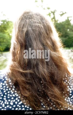Frau, die durch ein Feld geht, Rückansicht Stockfoto