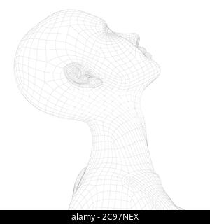 Drahtmodell eines Mädchens mit dem Kopf nach oben. Seitenansicht. 3D. Vektorgrafik. Stock Vektor