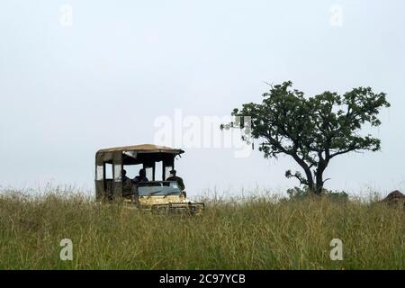 Kaabong. Juli 2020. Touristen haben eine Pirschfahrt im Kidepo Valley National Park im Kaabong Bezirk im Nordosten Ugandas, 29. Juli 2020. Uganda hat Anreize angekündigt, die Erholung des Tourismus inmitten der COVID-19-Pandemie anzukurbeln, die den Sektor stark beeinflusste. Die staatliche Naturschutzbehörde Uganda Wildlife Authority (UWA) kündigte Preissenkungen an, um die Wiederaufnahme des Tourismus in Schutzgebieten wie Nationalparks zu beschleunigen. Quelle: Hajarah Nalwadda/Xinhua/Alamy Live News Stockfoto