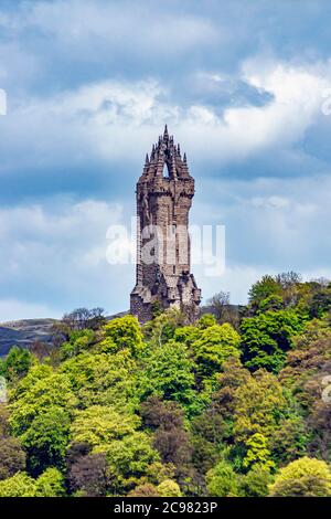 Das National Wallace Monument auf Abbey Craig nördlich von Stirling in Schottland Stockfoto