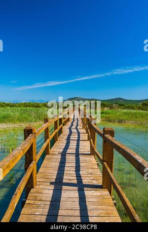 Naturpark Vrana See (Vransko jezero), Dalmatien, Kroatien, Holzweg im Beobachtungspark Stockfoto