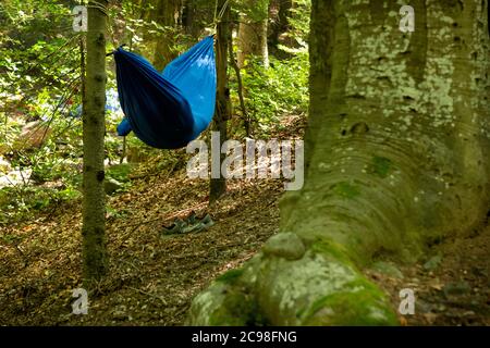 Camping im Wald Wanderer entspannend in blauen Hängematten Schlafsack wie Shinrin Yoku oder Waldbaden Freizeitaktivität Eskapismus Lifestyle Stockfoto