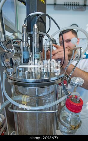 29. Juli 2020, Sachsen-Anhalt, Halle (Saale): Vitali Jakobi arbeitet an einem Bioreaktor im Navigo-Protein-Labor. Das Biotechnologieunternehmen hat seinen Sitz im Technologiepark Weinberg Campus, den der Wirtschaftsminister von Sachsen-Anhalt nun bei einem Besuch mit dem Weinberg Campus als "Zukunftsstandort" ausgezeichnet hat. Navigo Proteins wurde 1999 gegründet. Mit 50 Mitarbeitern ist das Unternehmen auf die Entwicklung von Proteinen spezialisiert, die in biotherapeutischen, diagnostischen und biotechnologischen Anwendungen eingesetzt werden. Derzeit ist das Unternehmen auch an der Arzneimittelforschung gegen das Coronavirus beteiligt Stockfoto