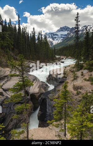 Mistaya Canyon Wasserfall Banff National Park, Alberta, Kanada Stockfoto