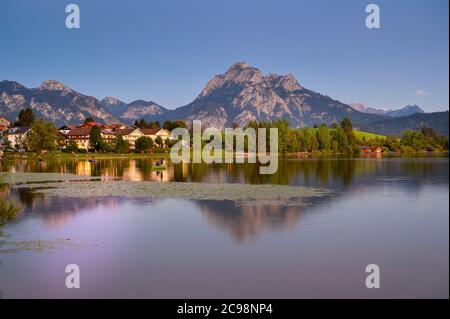 Blick über den Hopfensee mit dem Dorf Hopfen am See, im Hintergrund der Säuling bei Füssen Stockfoto