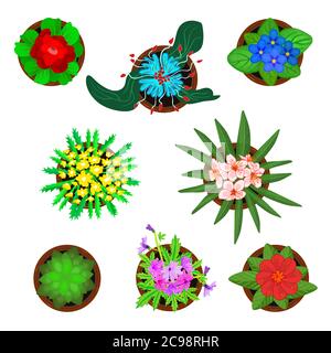 Blumensatz in Töpfen isoliert auf weißem Hintergrund. Pflanzen Symbol Sammlung Draufsicht mit Blumen. Startseite grüne Blumen in Töpfen.Stock Vektor-Illustration Stock Vektor