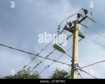 Starling Vögel sitzen auf Drähten und Laternenpfosten im Dorf Stockfoto