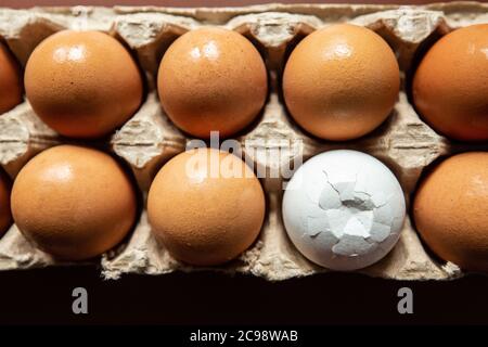 Eier in einer Pappeiablage, zerbrochenes Ei, nicht wie alle anderen, Konzept Stockfoto