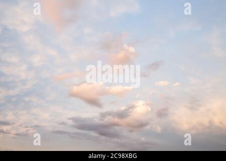 Schönes Rot, Rosa. Blau ungewöhnliche Federwolken gegen den Himmel bei Sonnenaufgang, Sonnenuntergang, Klimawandel, globale Erwärmung. Landschaftlich fantastische Wolken. Landschaft Stockfoto