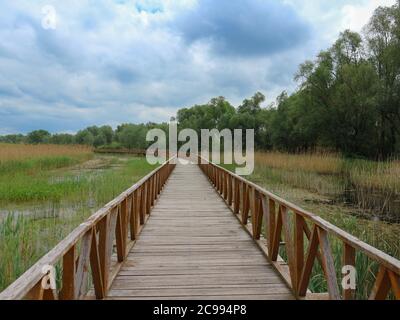 Holzweg über Sumpf in Überschwemmungsgebiet des Nationalparks Kopacki Rit, in der Region Slavonija im kontinentalen Kroatien Stockfoto