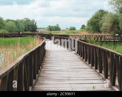 Holzbrücke über Wasserflächen über Sumpfgebiet im Kopacki Rit Nationalpark, bewahrte Natur im kontinentalen Kroatien Stockfoto