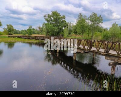 Holzbrücken für Besucher des Nationalparks Kopacki Rit gemacht, wunderbare Hochwasser-Öko-System in der kontinentalen kroatischen Region Slavonija Stockfoto