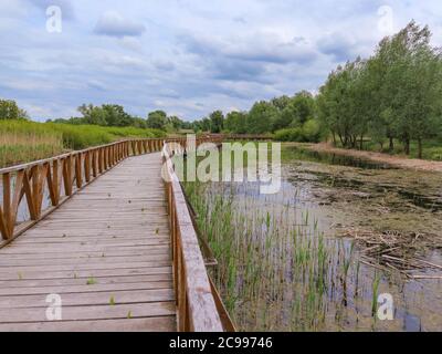 Wunderbarer, hölzerner Brückenweg über Sümpfe von Kopacki Rit, berühmter Nationalpark in Slavonija, kroatischer Kontinentalregion Stockfoto