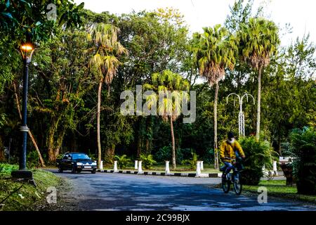 Curepipe Botanic Gardens (oder SSR Botanical Garden of Curepipe) in Route des Jardins, Curepipe, ist der zweitgrößte botanische Garten in Mauritius. Stockfoto