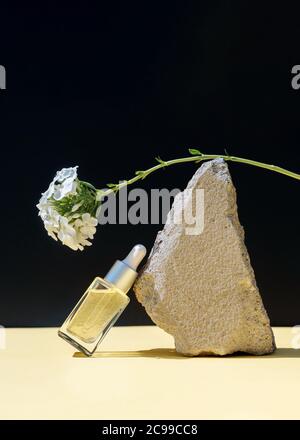 Konzept von Wellness und Naturkosmetik.Flasche pflanzliches ätherisches Massageöl in Fotokomposition aus Stein und weißer Blume auf schwarzem Hintergrund Stockfoto