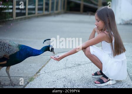 Schönes Mädchen füttert einen Pfau im Park, niedliches Baby Stockfoto