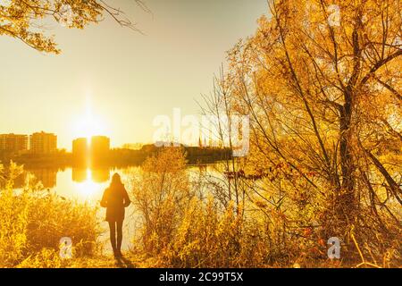 Herbst Herbst Farben, gelbe Baum Blätter Mädchen zu Fuß im Stadtpark. Natur Outdoor Lifestyle. Stockfoto