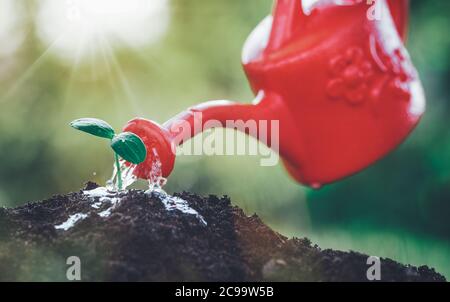 Wasser Tropfen fallen auf Neuen an einem sonnigen Tag im Garten sprießen im Sommer Stockfoto