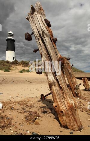 Holzschutz und Leuchtturm am Spurn Point, in der Nähe von Kilnsea, East Yorkshire, Großbritannien. Stockfoto